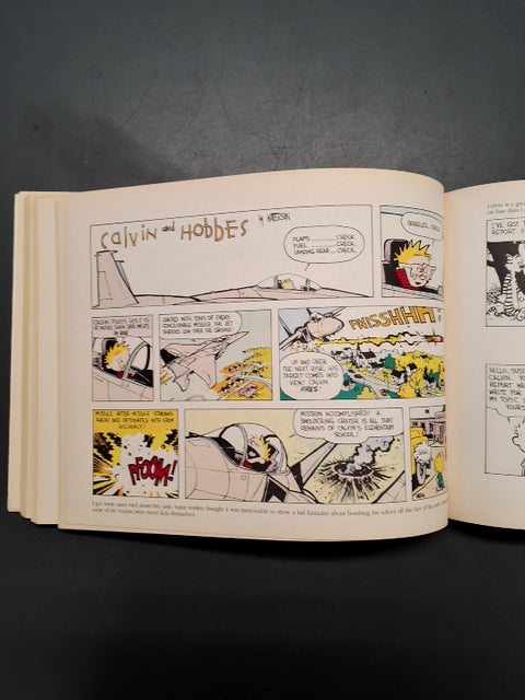 Tenth Anniversary book A Calvin and Hobbes collection